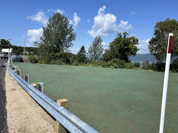 Hydro-ensemencement résidentiel sur terrain préparé par Aménagement Marosa à Lévis – Gazon dense et écologique en quelques semaines
